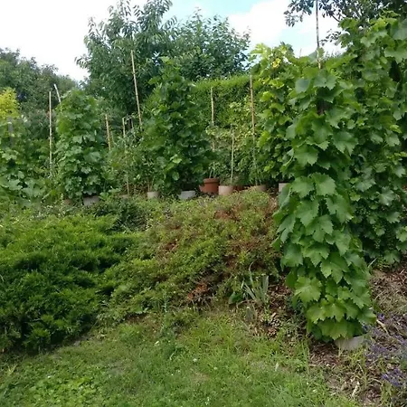 Appartamento Hubi-lak *